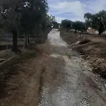 Giola And 1 * Αστρίδα